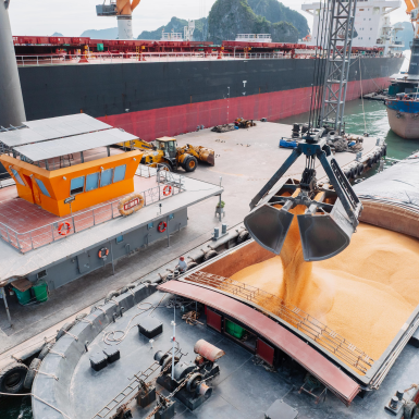 The Vital Role of Maritime Logistics in the Global Supply Chain