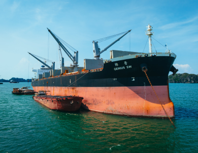 Genius Vessel Operations