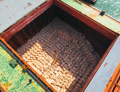 Genius Vessel Operations