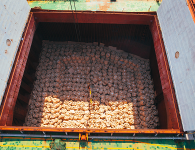 Genius Vessel Operations