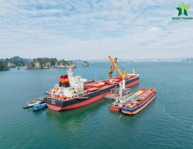 Vessel Sarah Operations