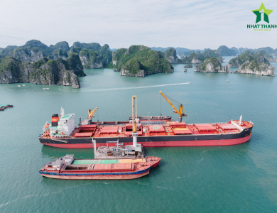 Vessel Sarah Operations