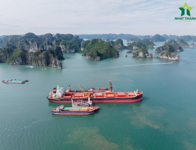 Vessel Sarah Operations