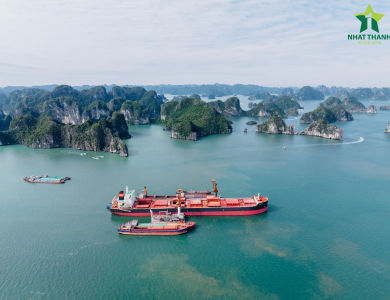 Vessel Sarah Operations