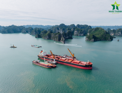 Vessel Sarah Operations