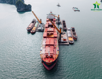 Vessel Sarah Operations