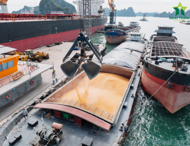 Vessel Sarah Operations