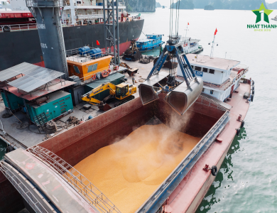 Vessel Sarah Operations