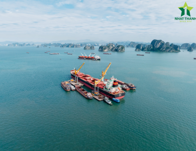 Vessel Sarah Operations